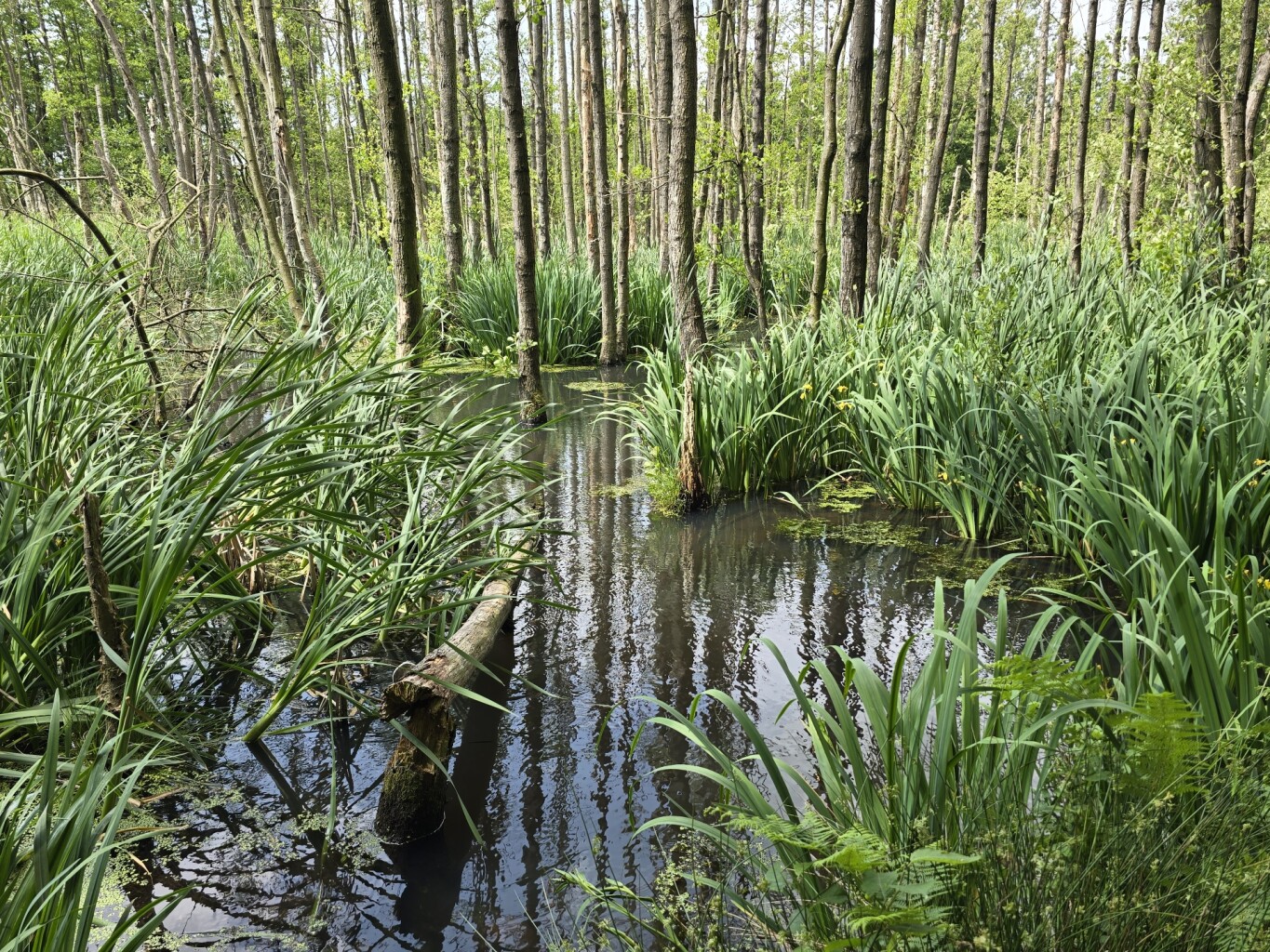 Solterheide-Baatsbeekvallei