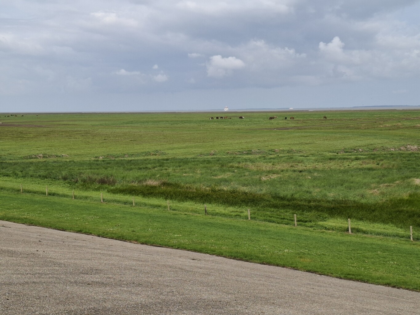 Ferwert - Ternaard · Nederlands Kustpad 3 etappe 7