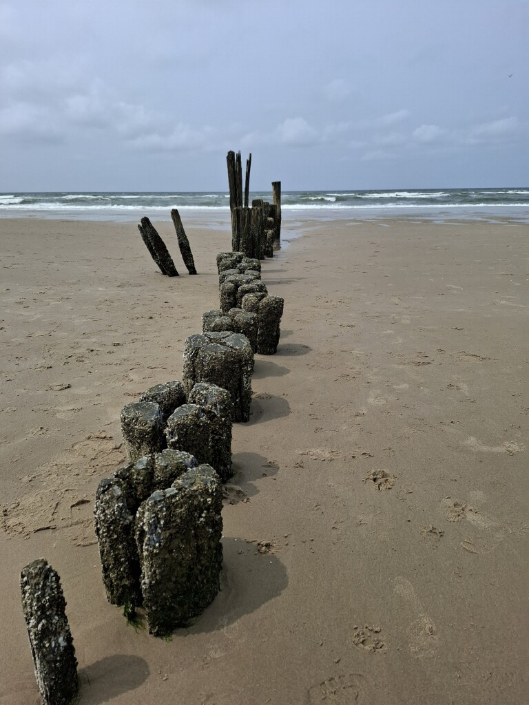 Bergen aan Zee