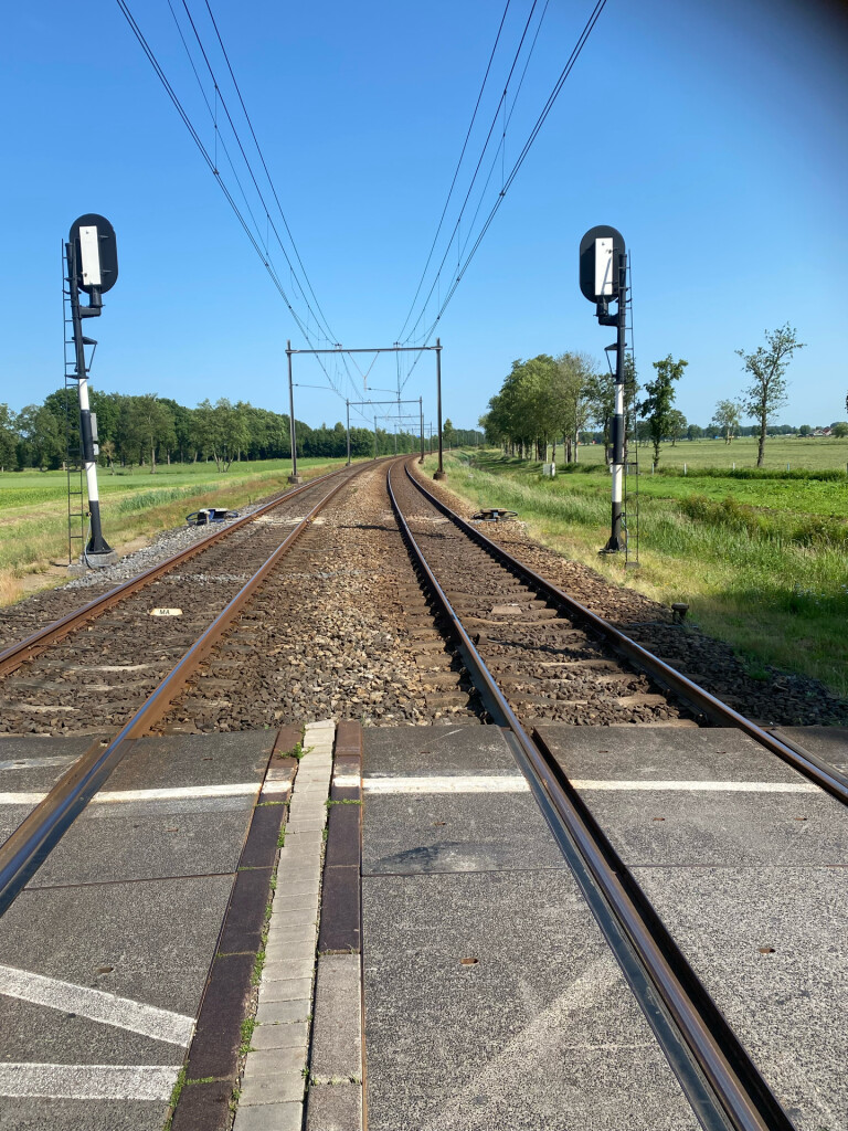 Reeststouwe - Oranje