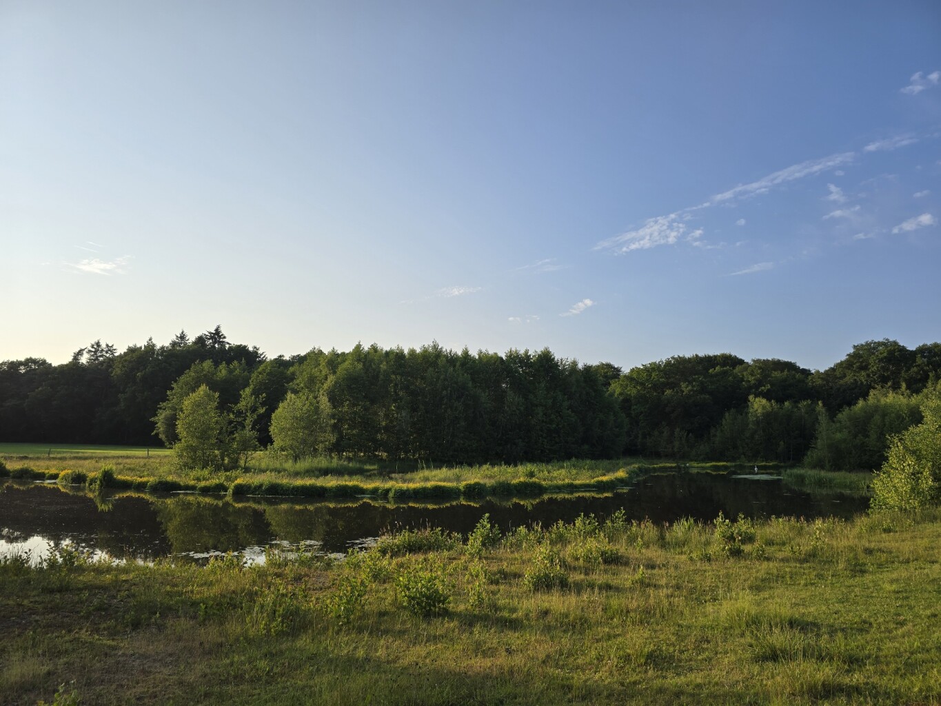 Tusveld - Blauw