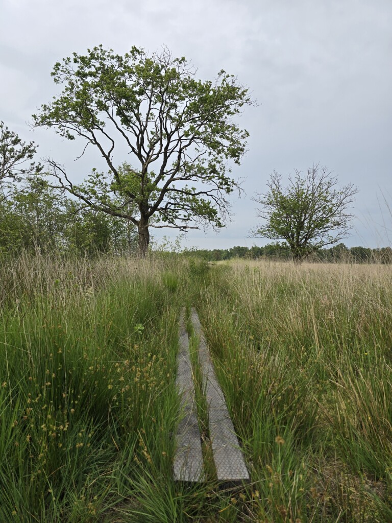Leggelderveld en Blauwe meer