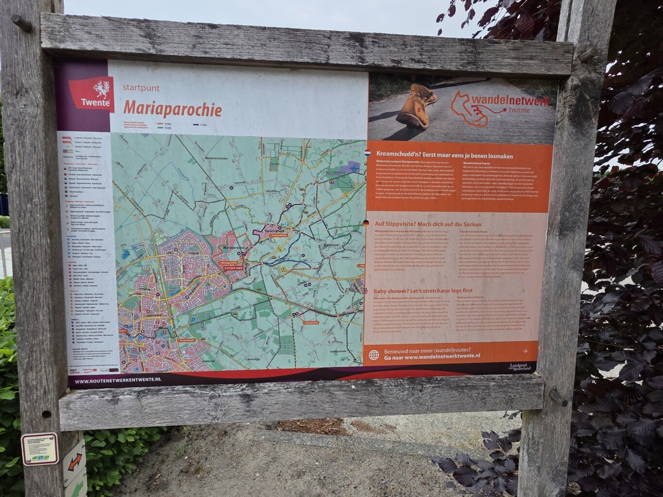 Mariaparochie - Paars