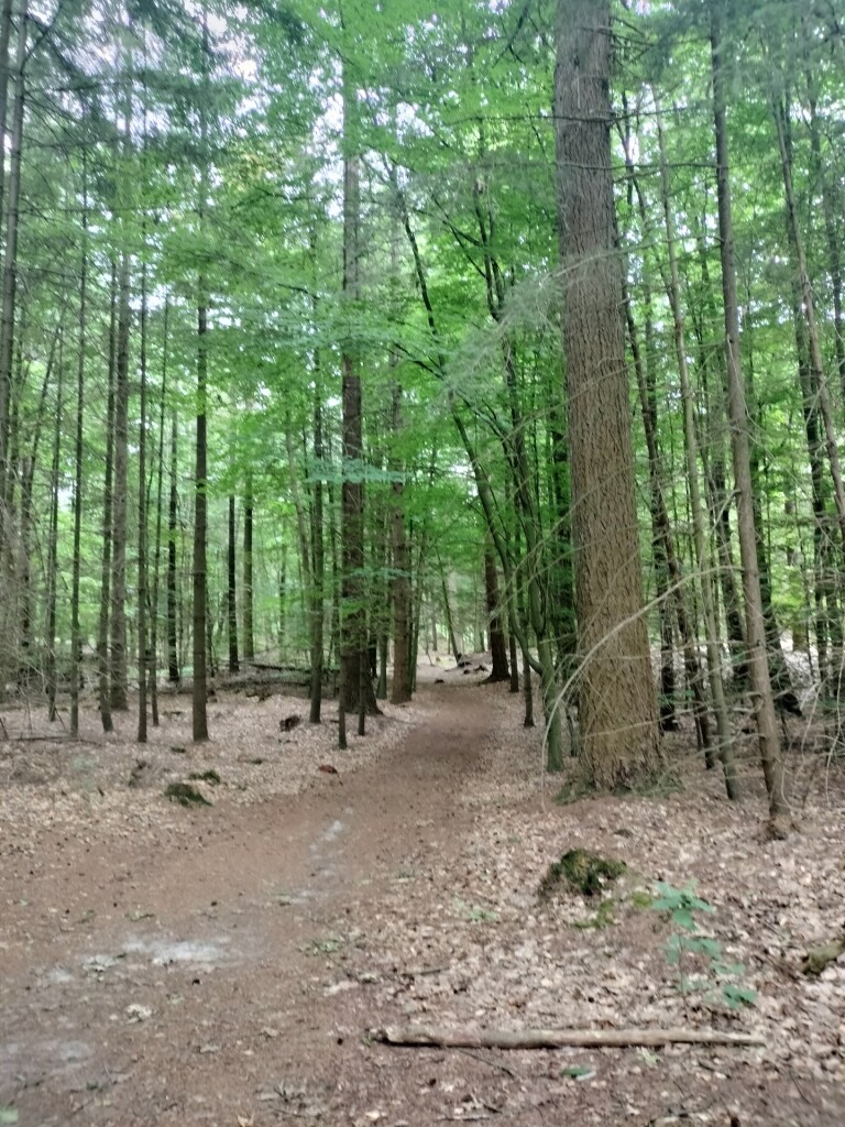 Poolshoogte Storytrails