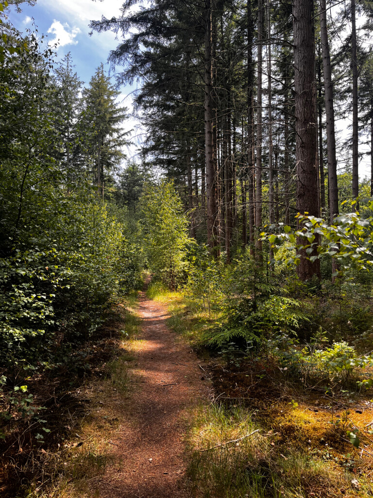 WMD wandelroute Gasselte