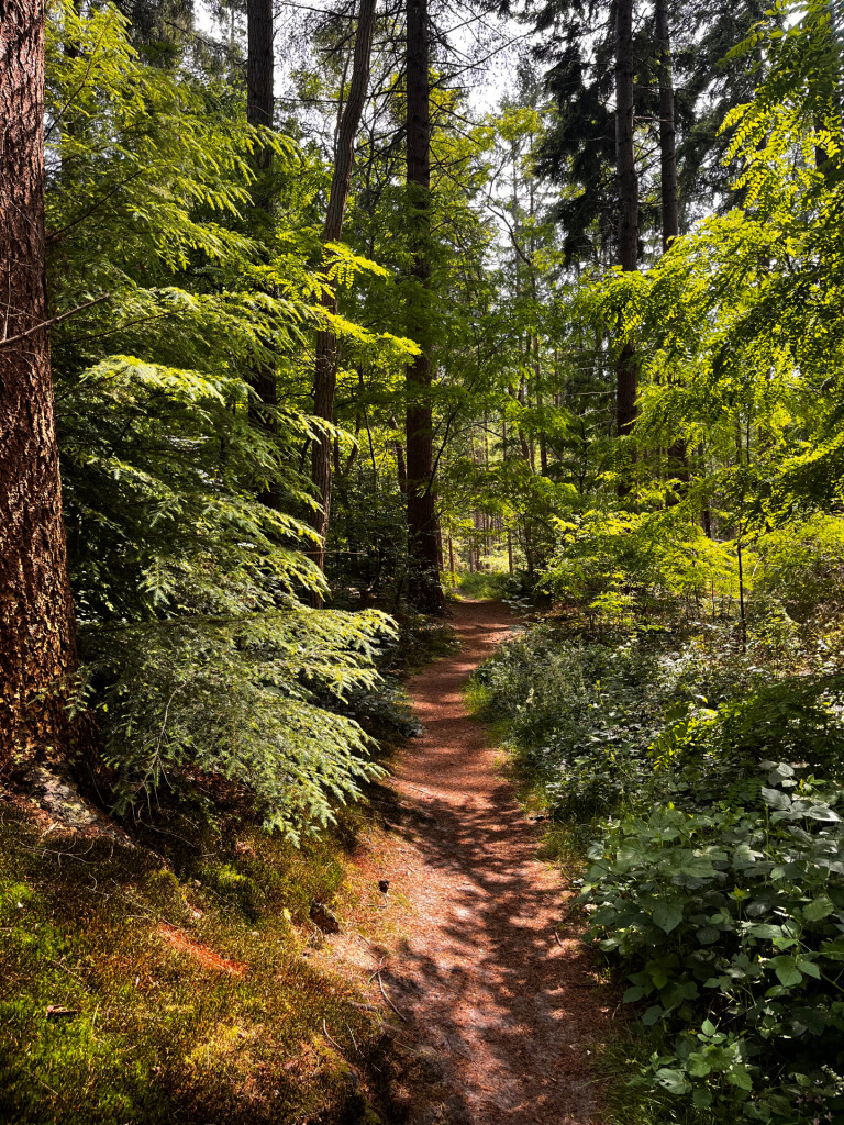 WMD wandelroute Gasselte