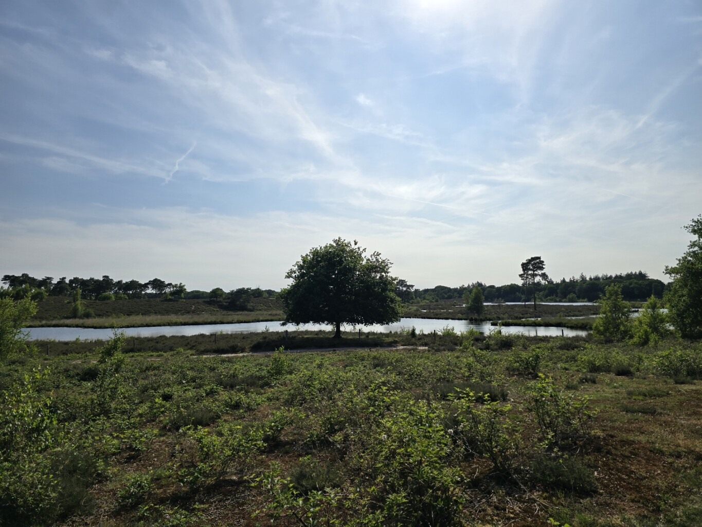 4daagsetraining rond Nijmegen