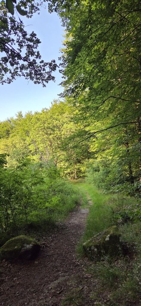 Wandelroute Schoonmeer