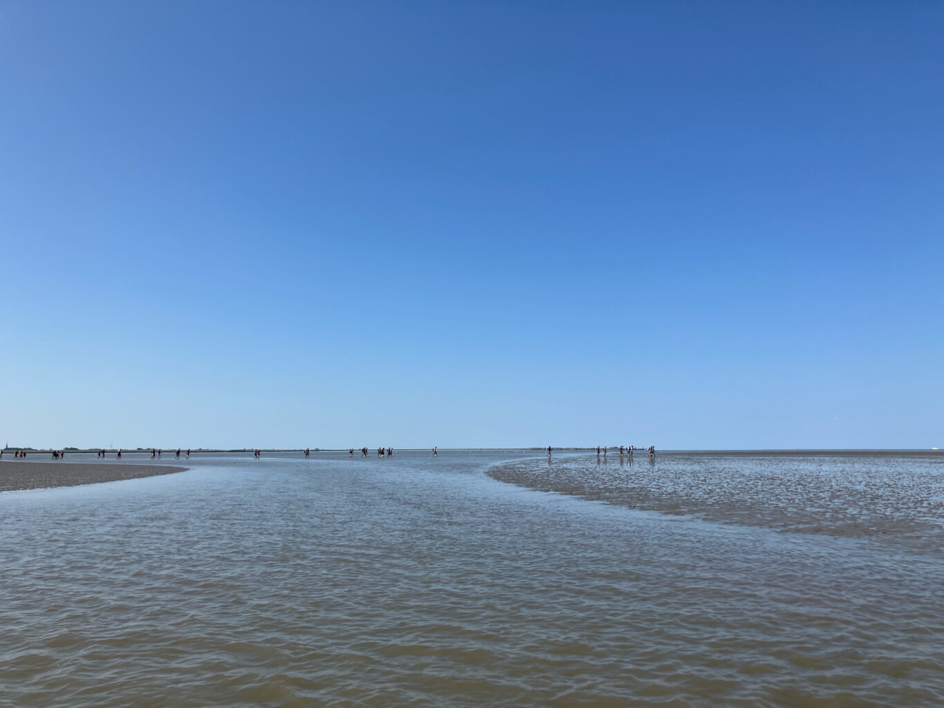 Wadlooptocht Holwerd-Ameland | Klooster Claercamppad