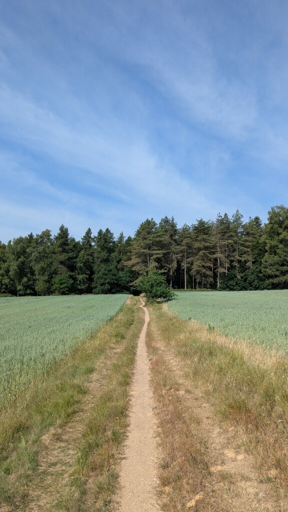 Montferland Toppenronde