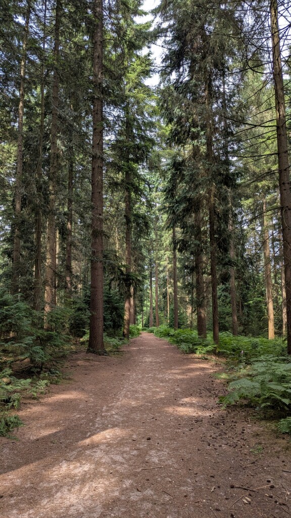 Montferland Toppenronde