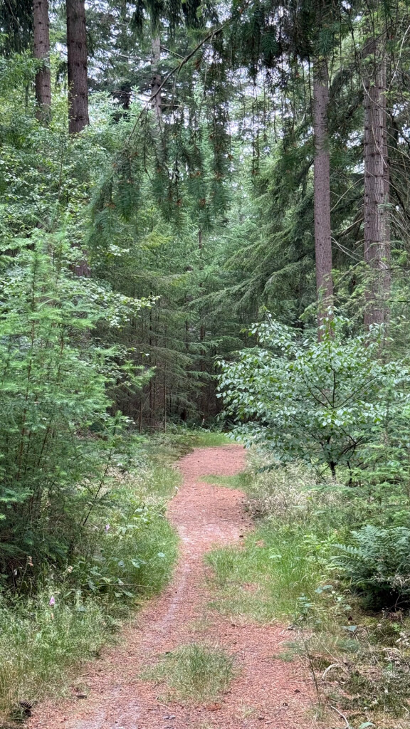 Als je van rust en ruimte houdt