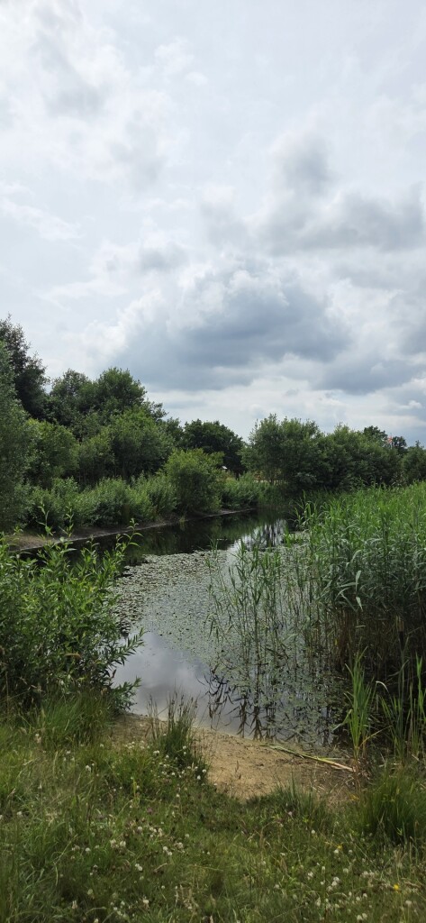 Holtingerveld - Diever · Drenthepad etappe 3