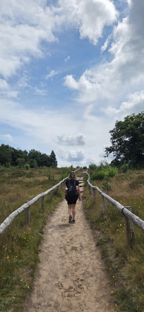 Holtingerveld - Diever · Drenthepad etappe 3