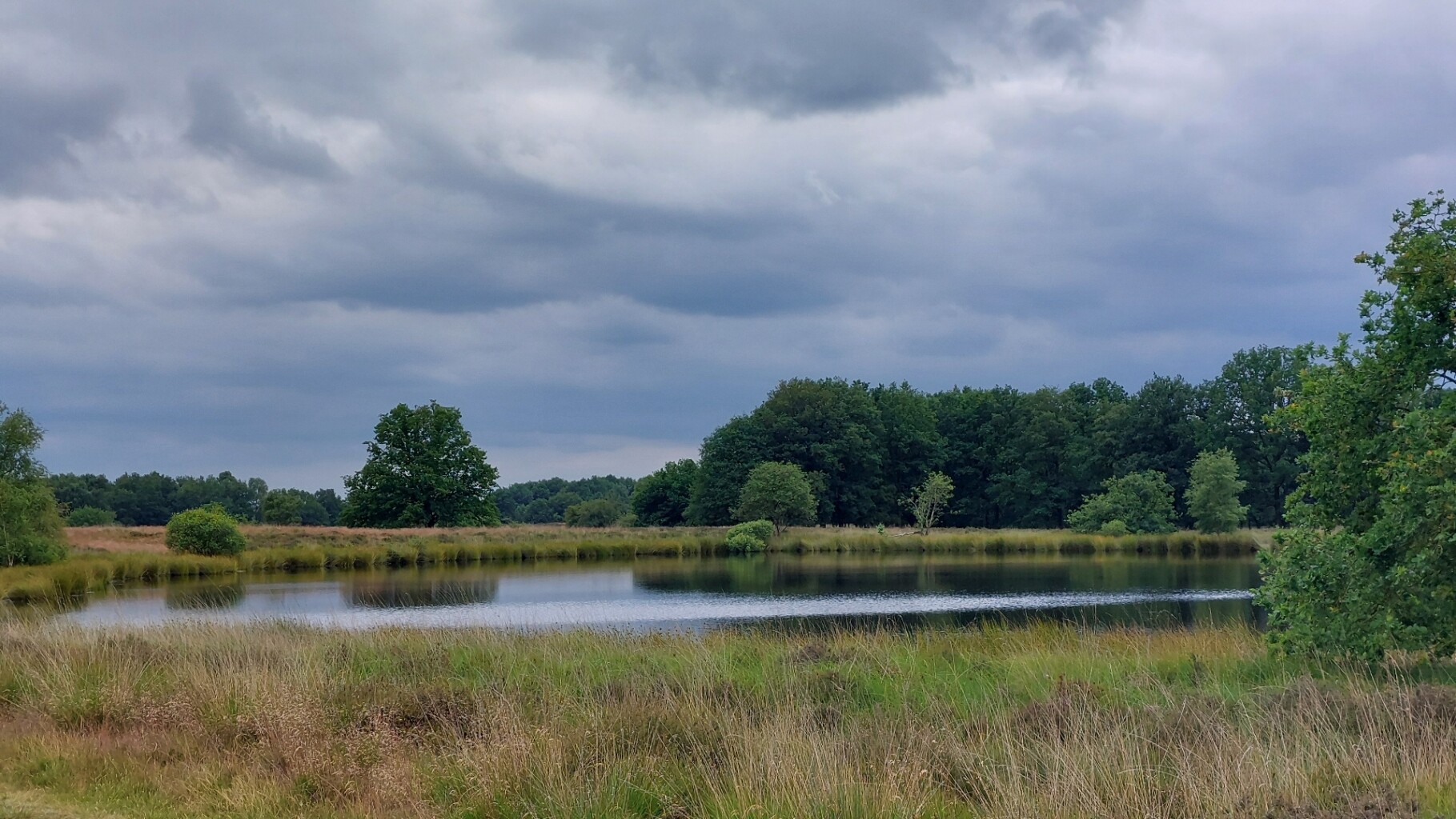 Hijken - Dwingeloo · Roots Natuurpad etappe 9