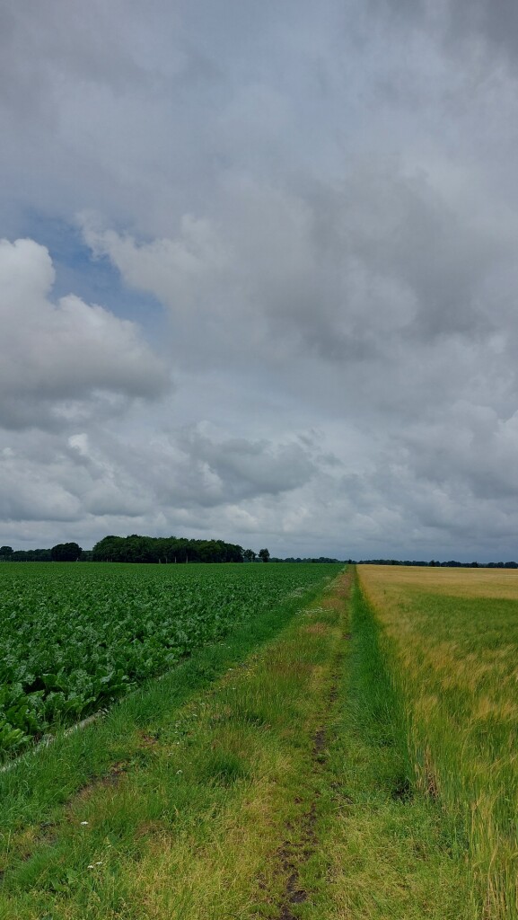 Hijken - Dwingeloo · Roots Natuurpad etappe 9