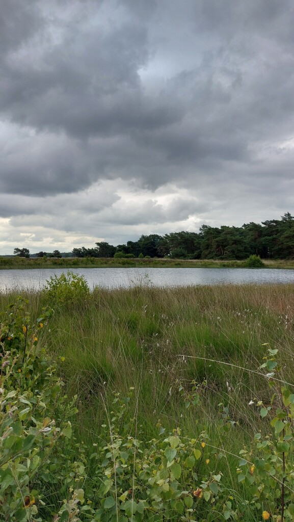 Hooghalen - Hijken · Roots Natuurpad etappe 8