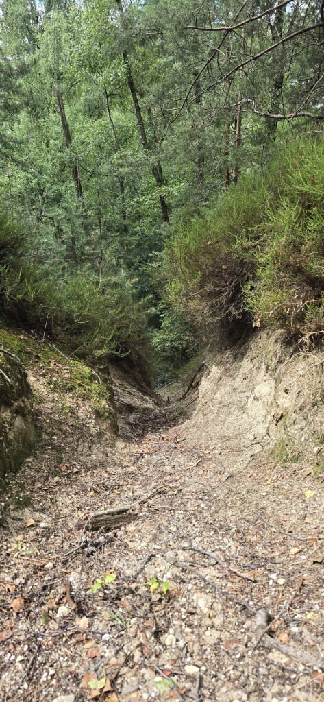 Venlo - Swalmen · Rondje Limburg etappe 13