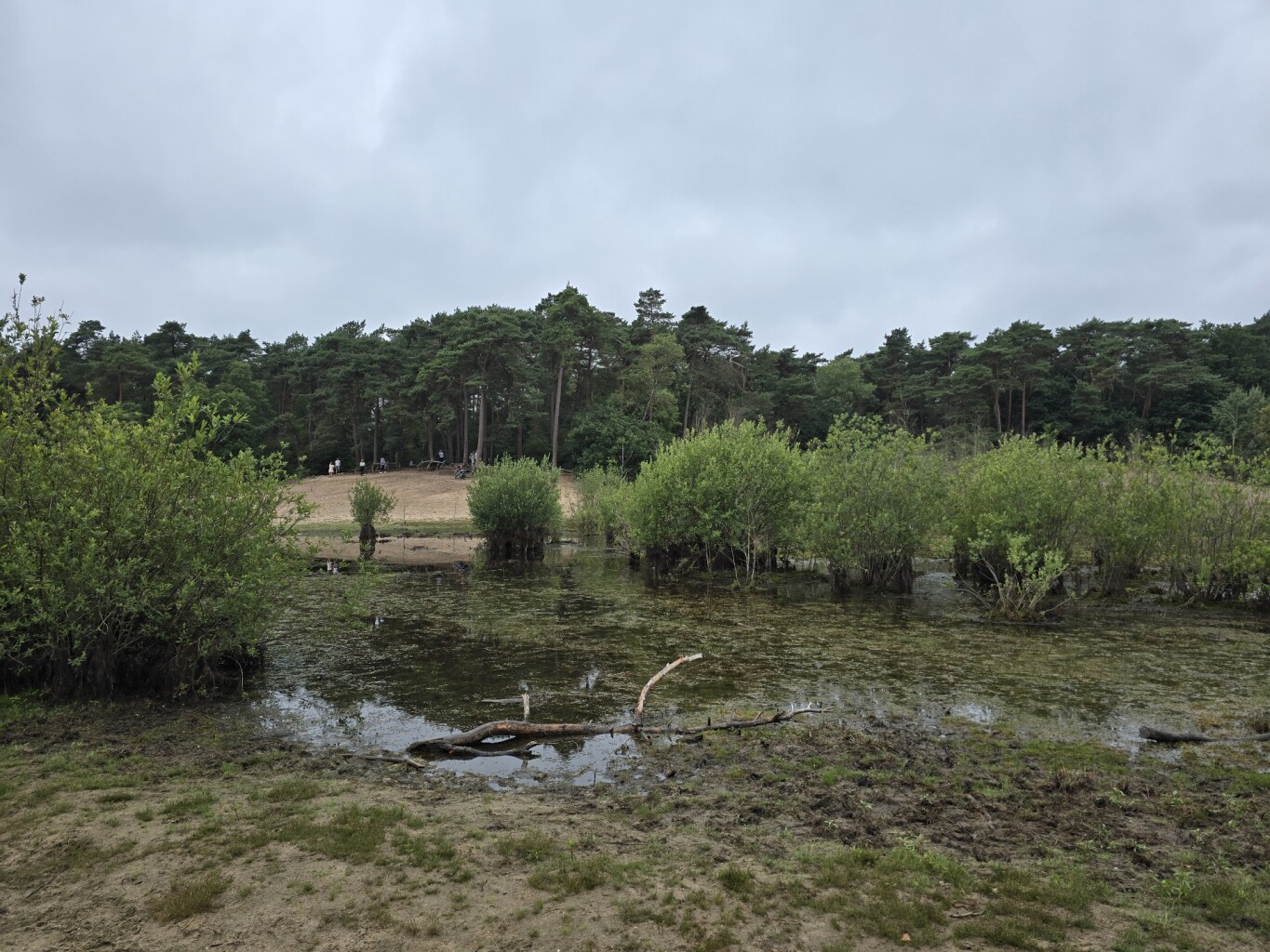 Maarn - Maarnse Berg -  Maarn · Utrechtse Mountain Trail etappe 4