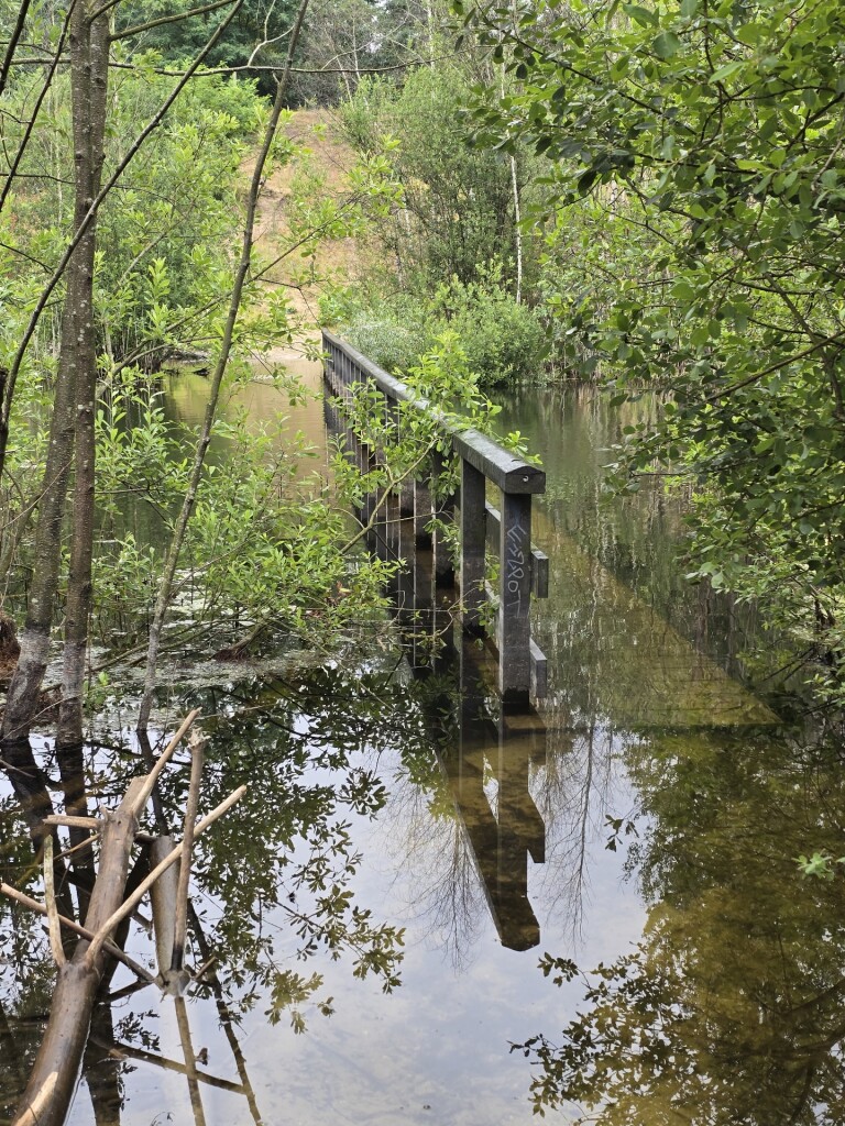 Maarn - Maarnse Berg -  Maarn · Utrechtse Mountain Trail etappe 4