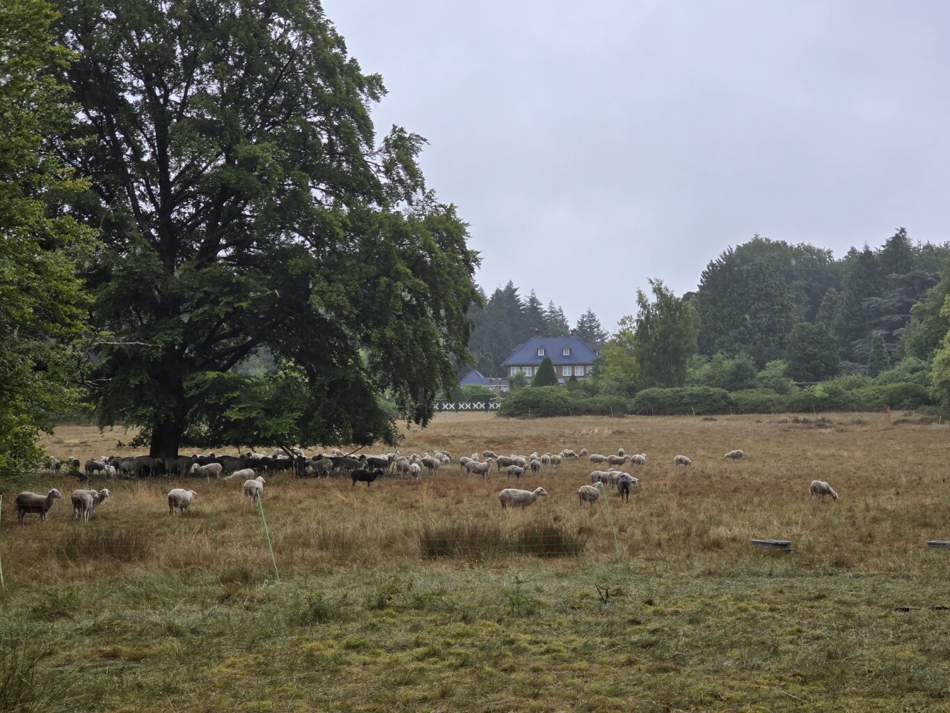 Maarn - Doorn · Utrechtse Mountain Trail etappe 5