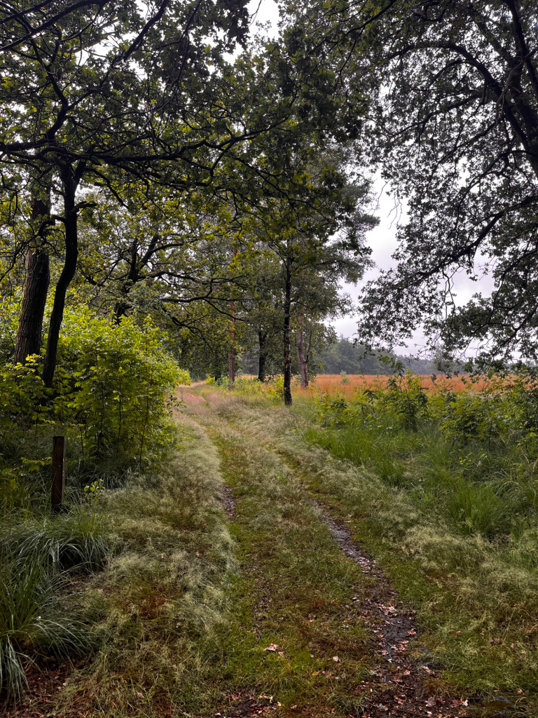 Wandelroute Wijde Blik