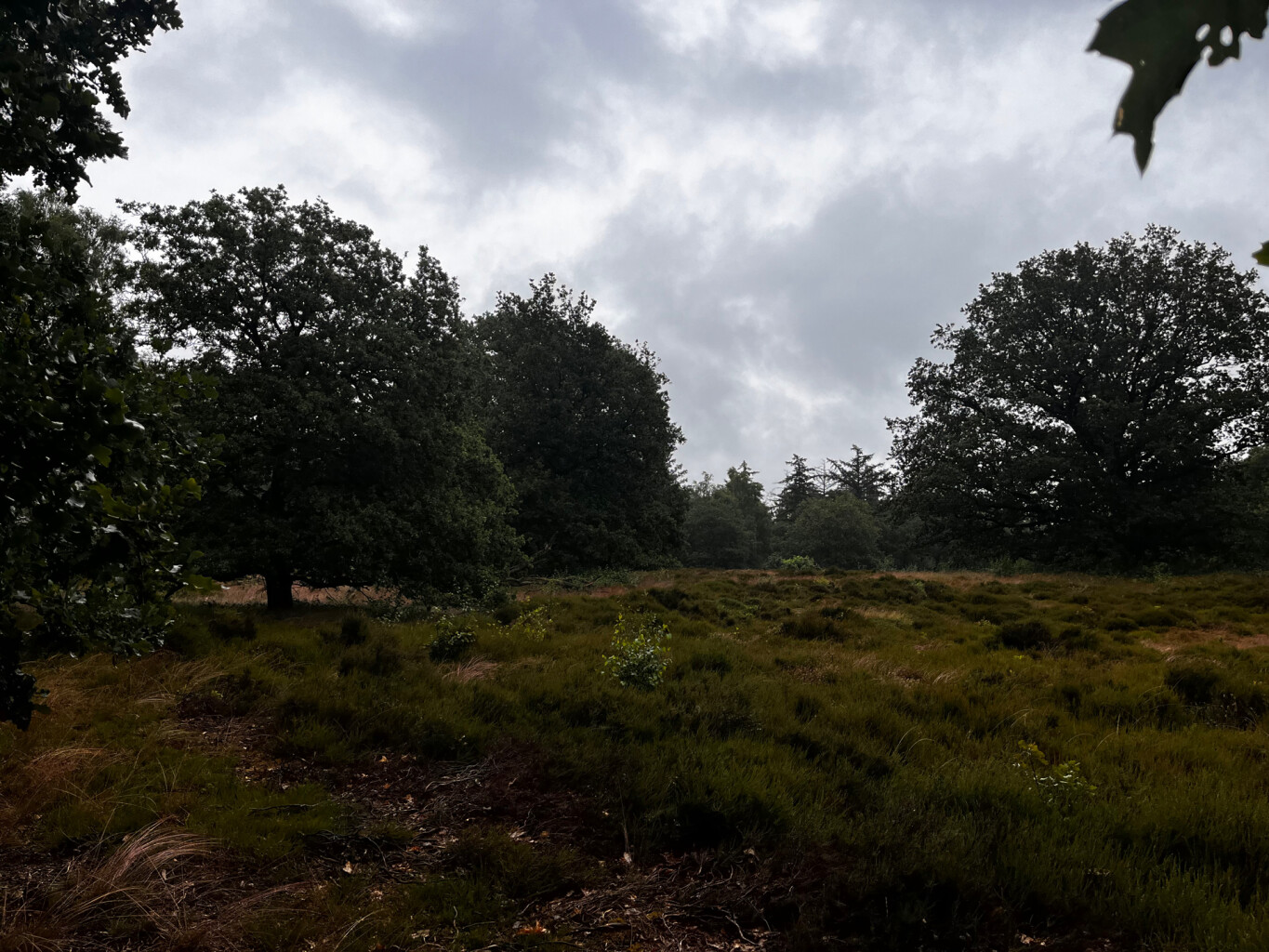 Wandelroute Wijde Blik