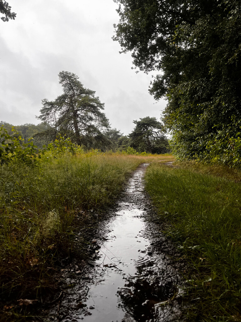 Wandelroute Wijde Blik