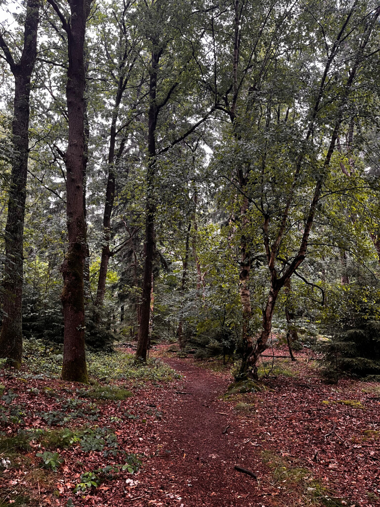 Wandelroute Wijde Blik