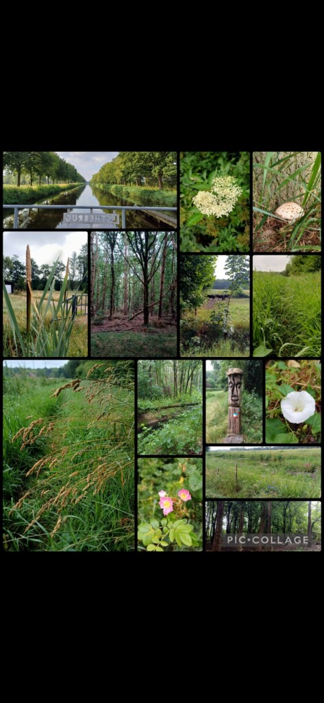 De Lethe Bellingwolde