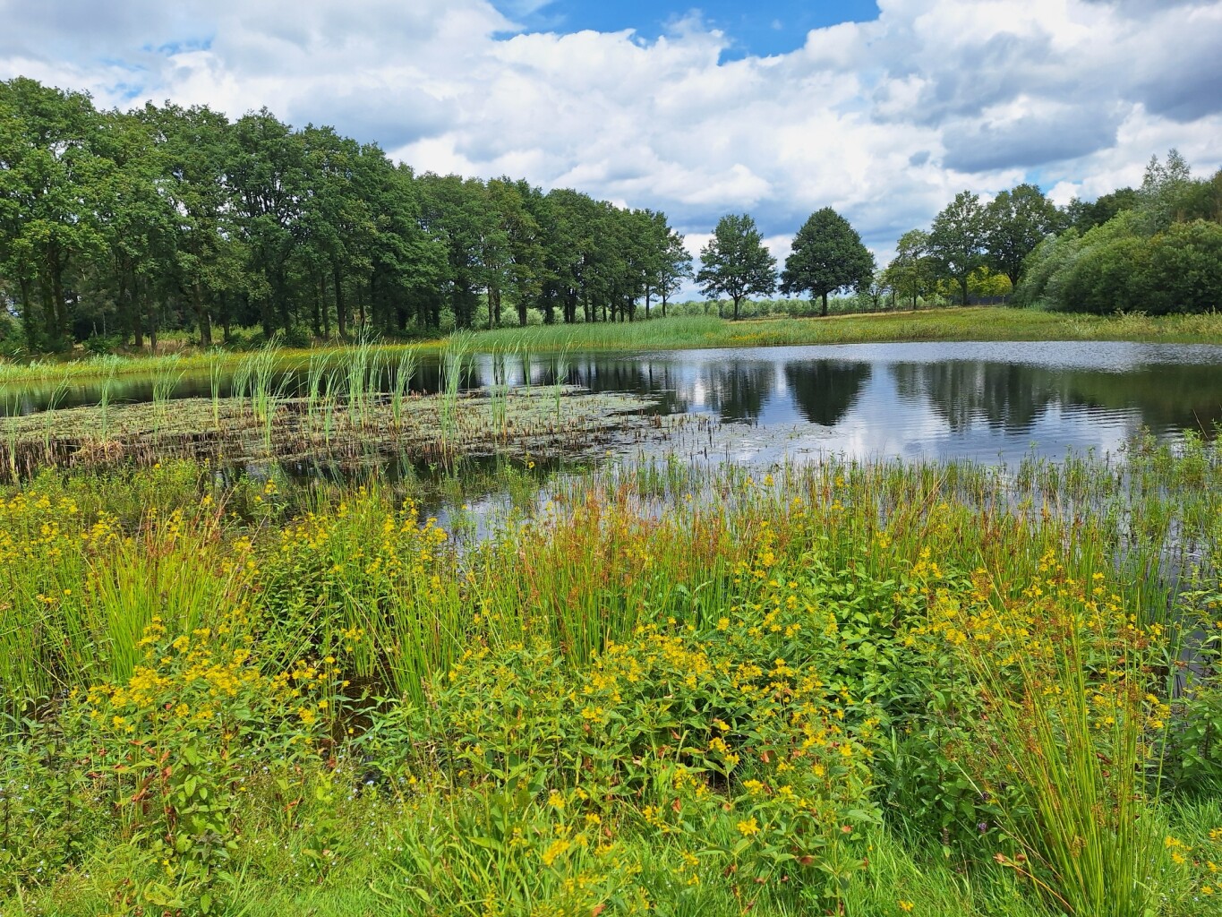 Slangenburg - Doetinchem · Ludgerpad etappe 5