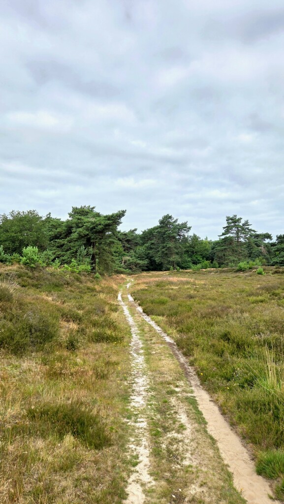 Boswachterspad Oer 't Veld