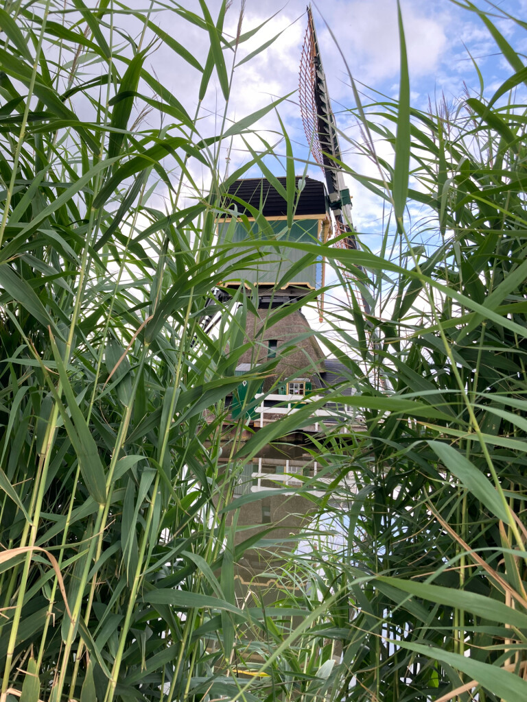 Breukelen - Noorden · Marskramerpad etappe 16