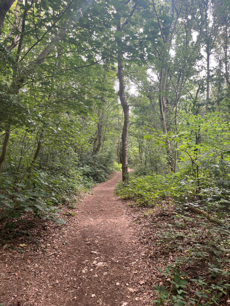 Hoek van Holland strand - Maasland · Grote Rivierenpad etappe 1