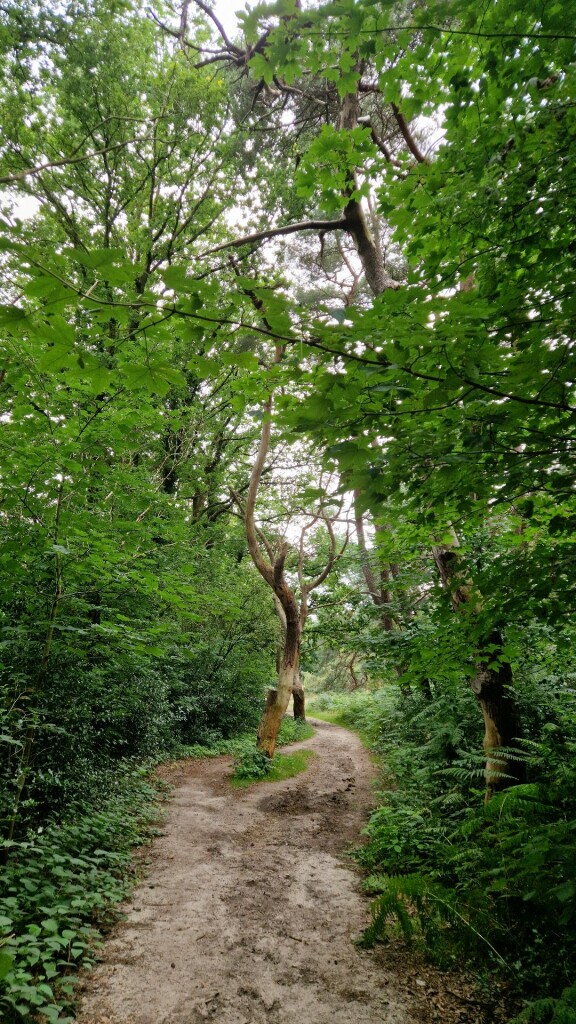 Wandelroute Pieterberg