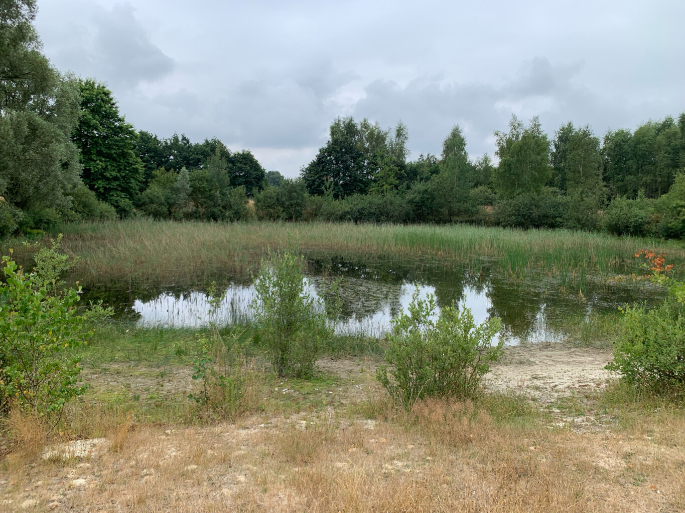 Doorsteek Horst - America · Petranpad etappe 10