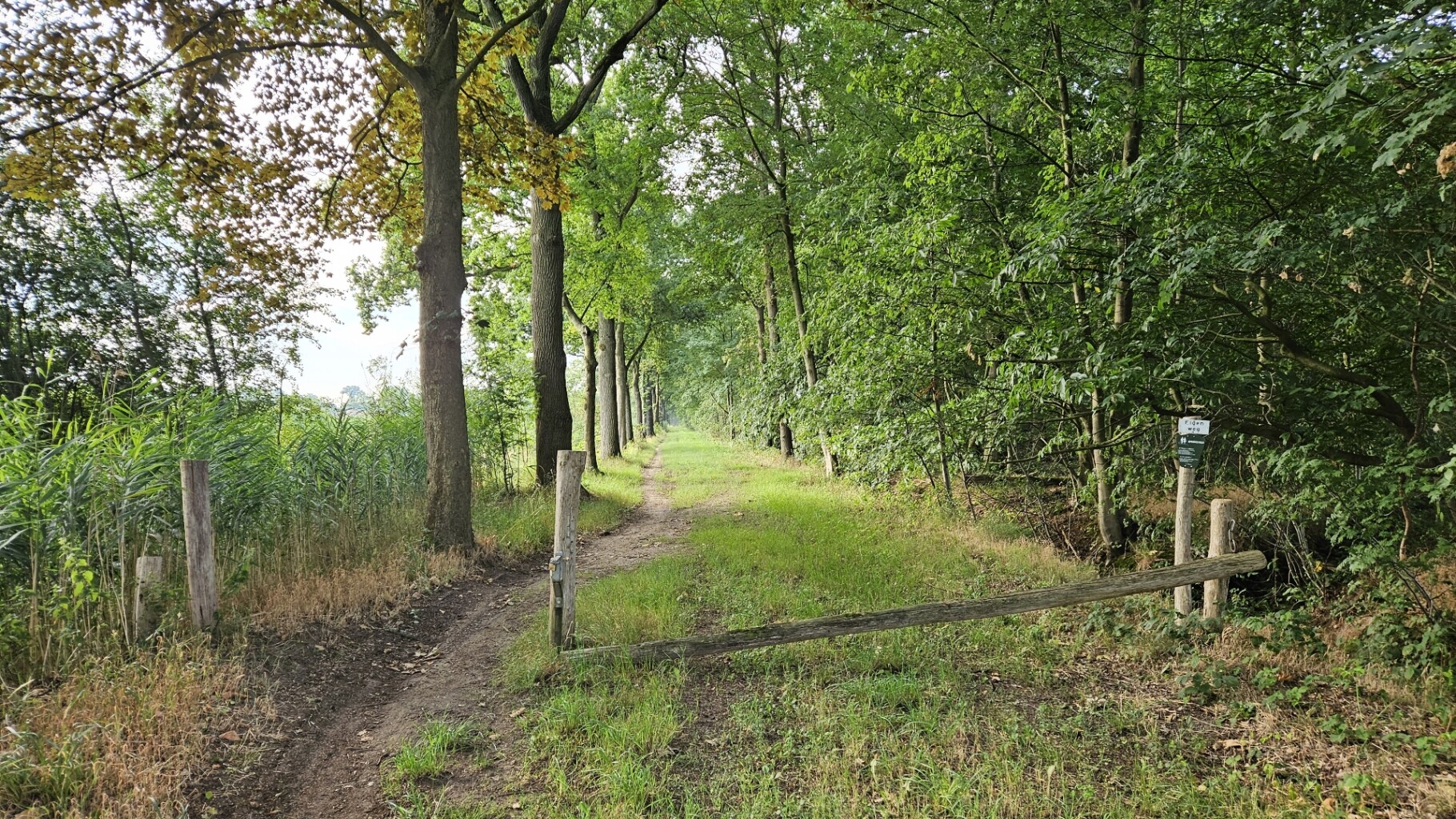 Route langs de Aa door het Lijnt en het Gerecht