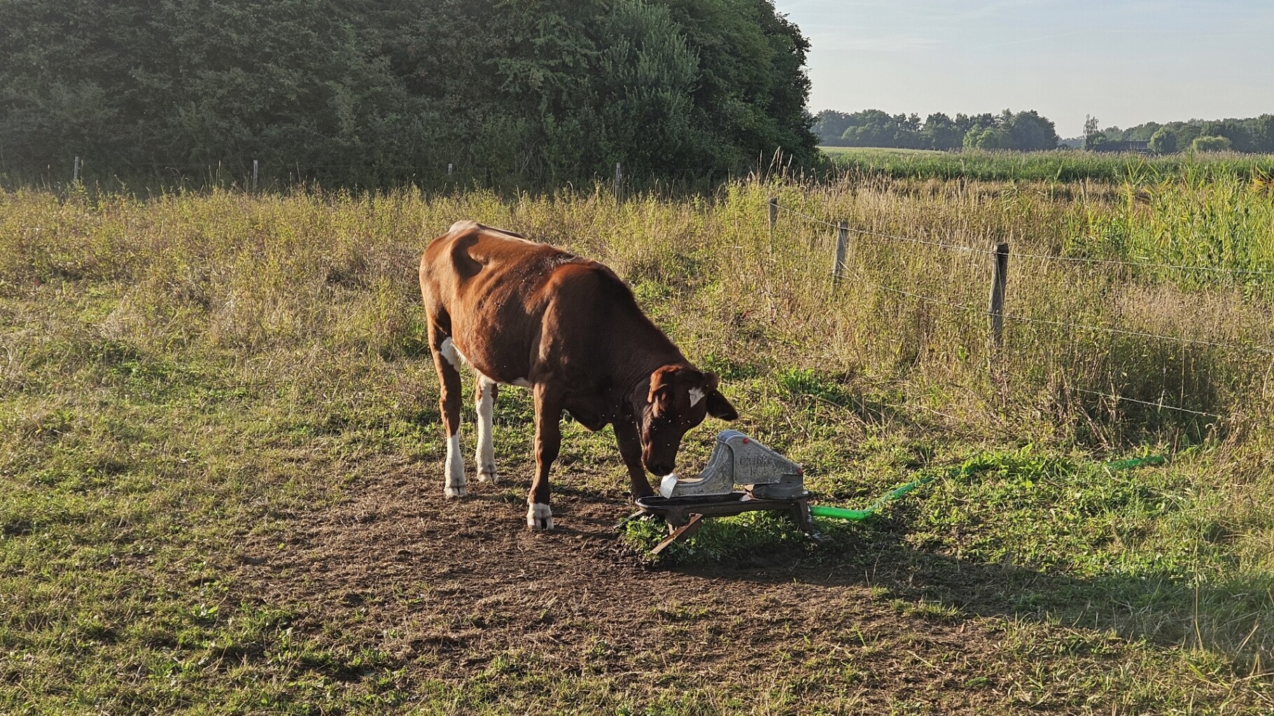 Route langs de Aa door het Lijnt en het Gerecht