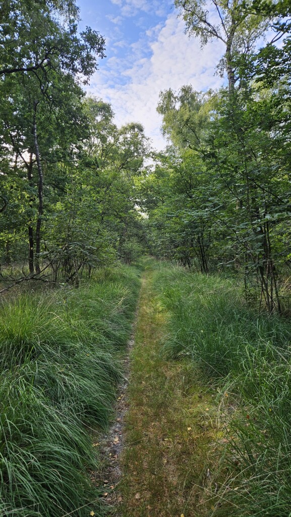Route langs de Aa door het Lijnt en het Gerecht