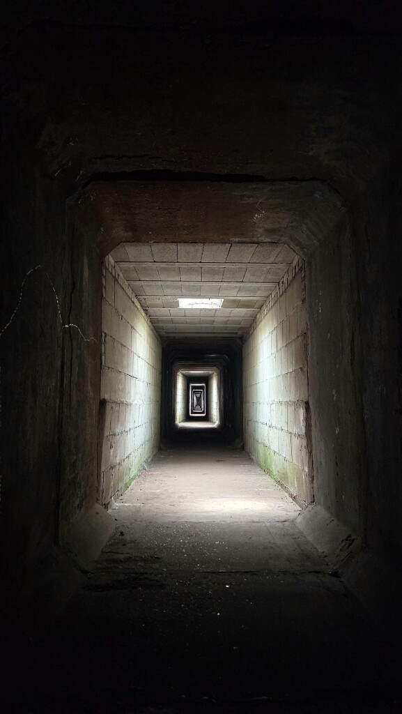 Diependal vogelkijkhut en scherm