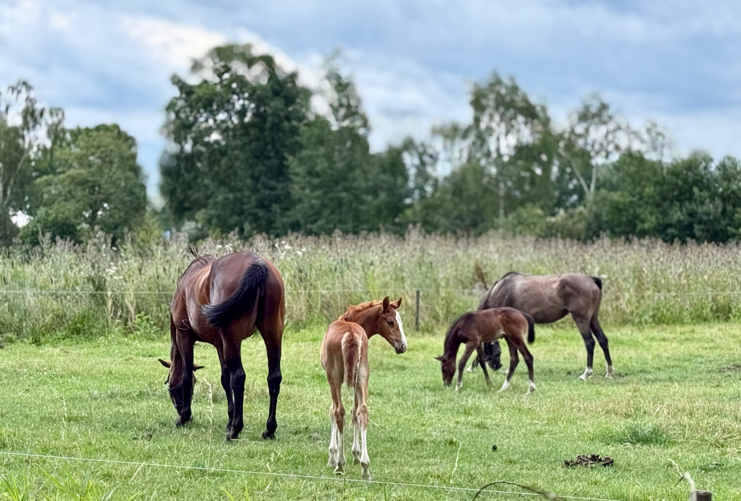 Heeswijk - Uden · Ons Kloosterpad etappe 2