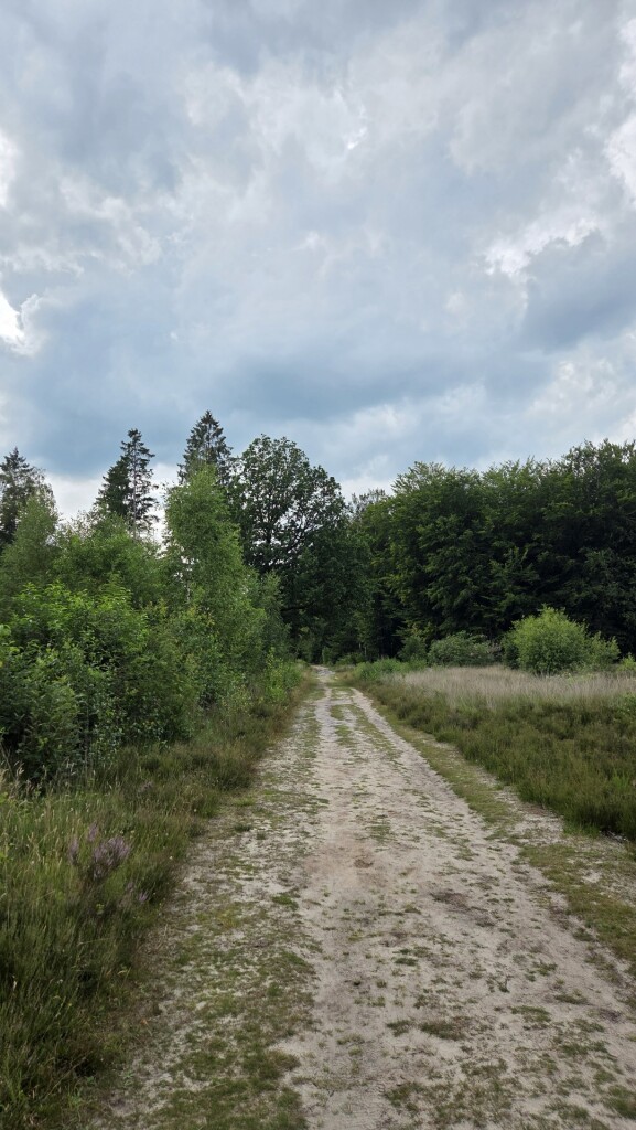 Wandelroute Heide en Vennen
