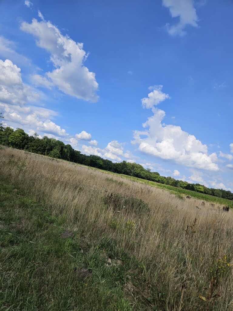 Vrolijke jager - jacobushof