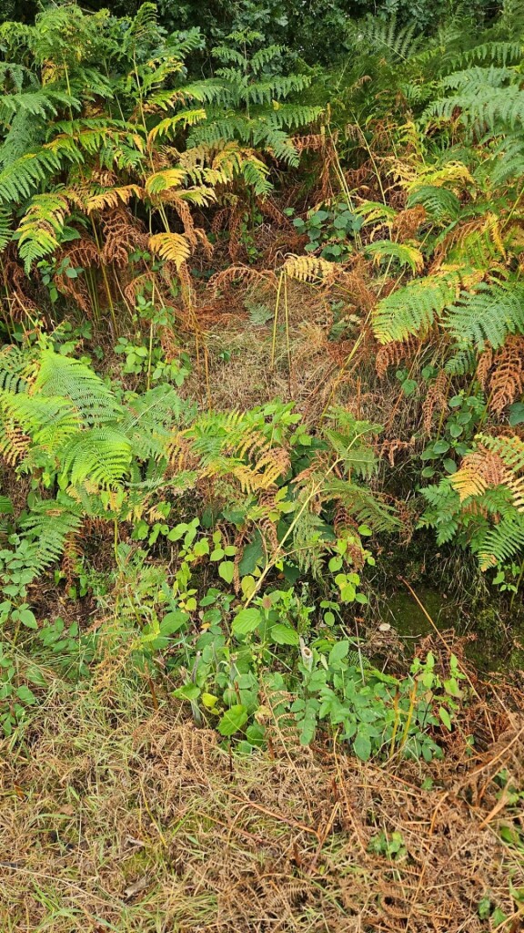 Vrolijke jager - jacobushof