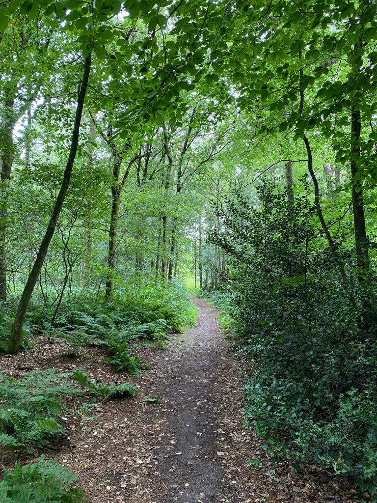 Wandelroute Springendal Sprengenroute