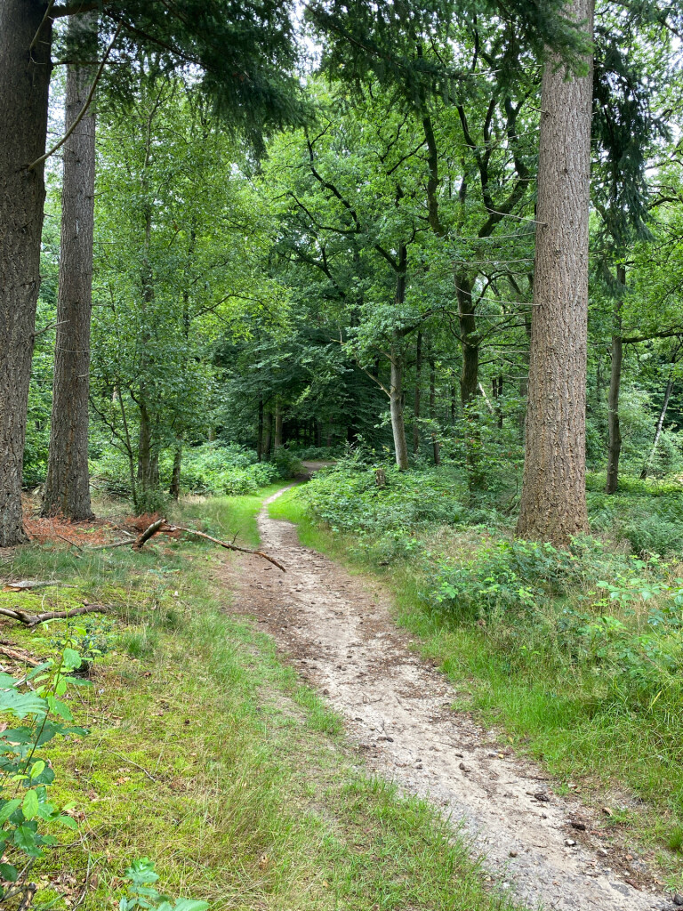 Wandelroute Springendal Sprengenroute