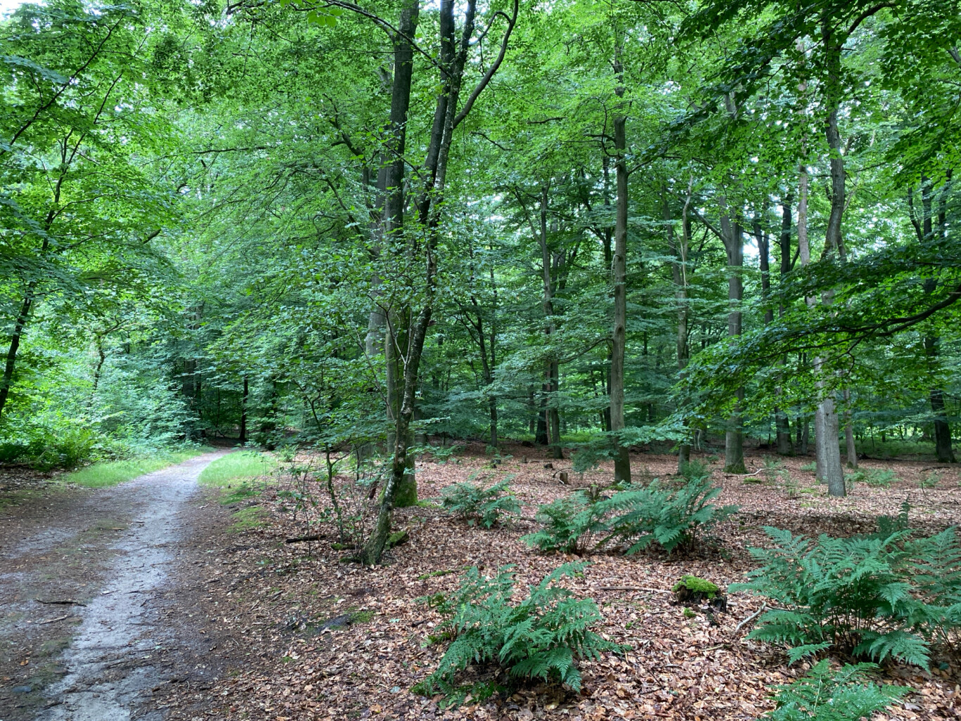 Wandelroute Springendal Sprengenroute