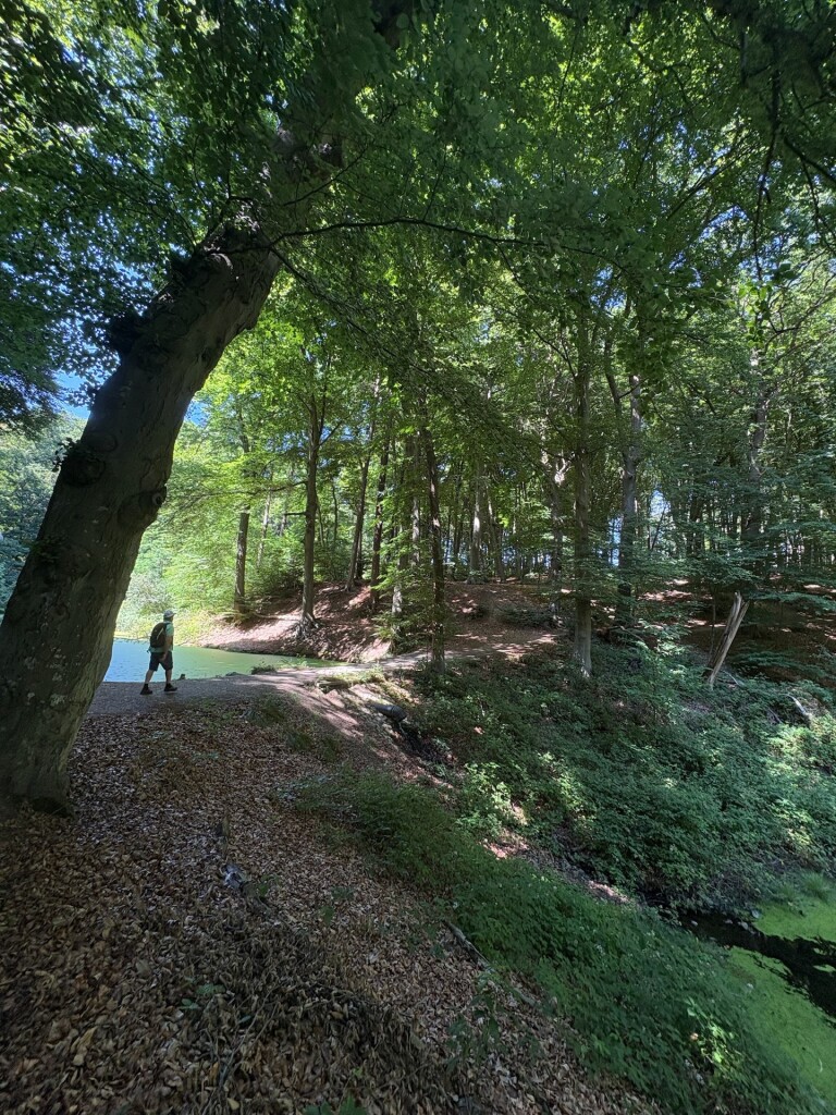 Pieterpad Millingen aan de Rijn - Groesbeek