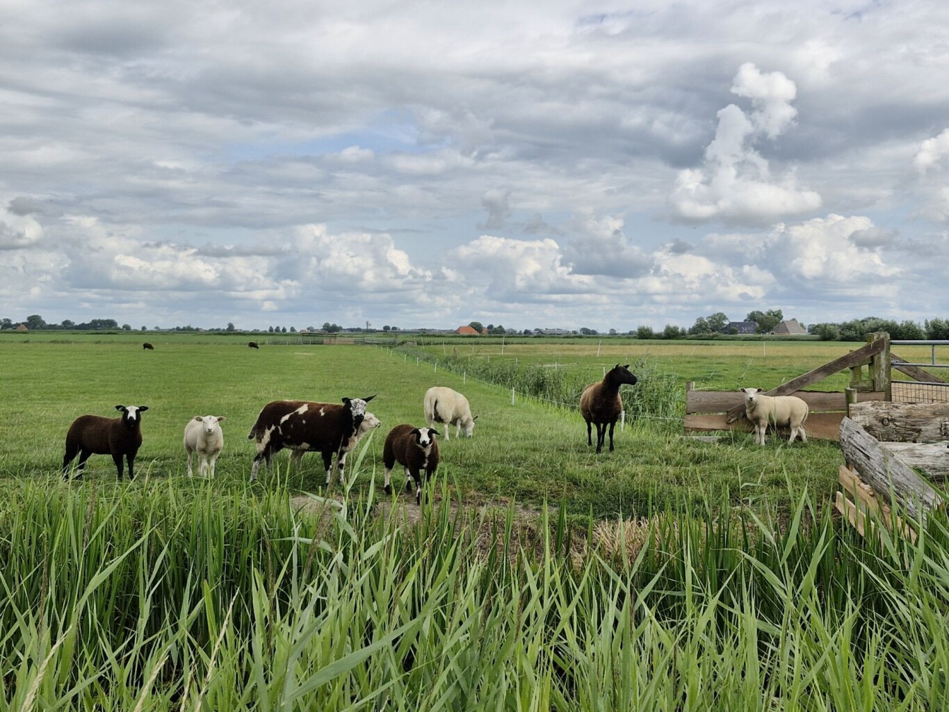 Kuiertocht Hartwerd - Oldeclooster Wandelpad