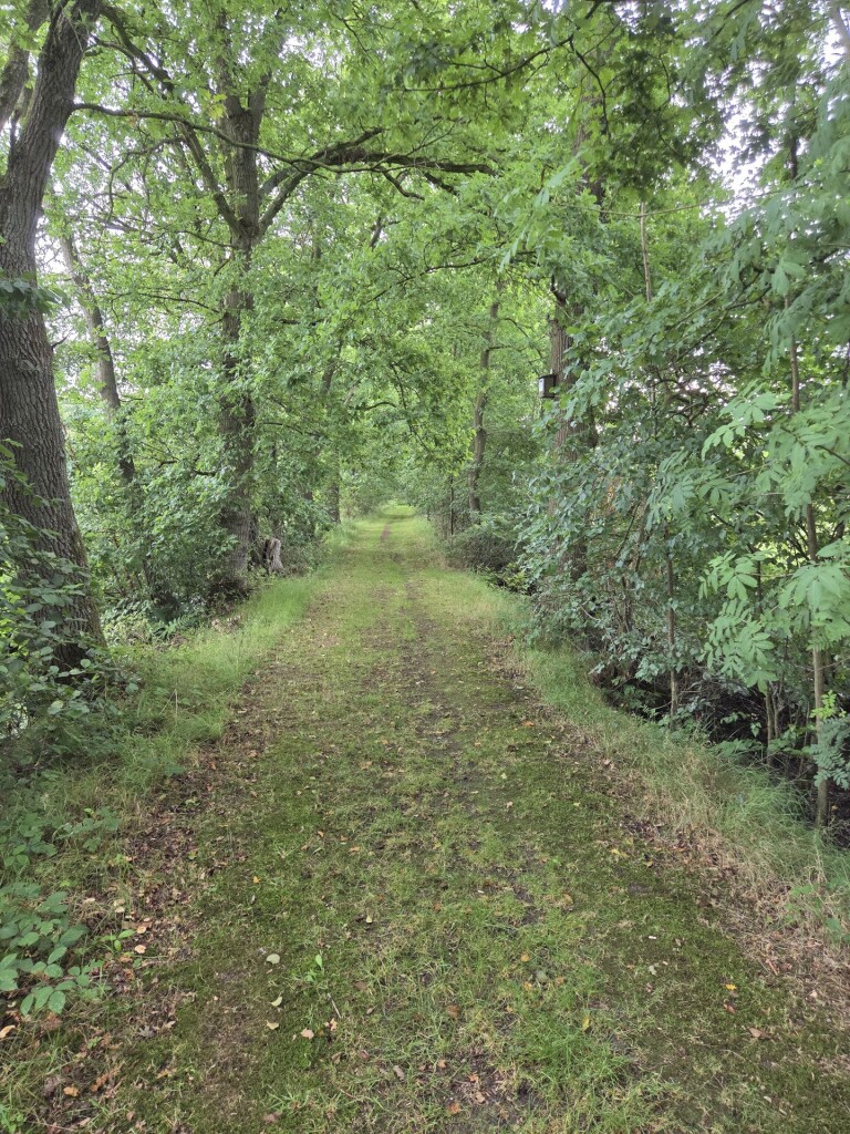 Burgum - Quatrebras · Noardlike Fryske Wâlden etappe 1